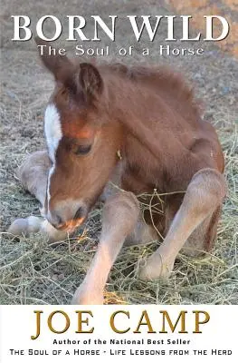 Born Wild - Dusza konia - Born Wild - The Soul of a Horse