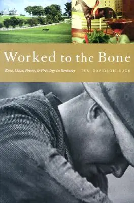 Worked to the Bone: Historia rasy, klasy, władzy i przywilejów w Kentucky - Worked to the Bone: A History of Race, Class, Power, and Privilege in Kentucky