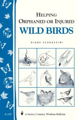 Pomoc osieroconym lub rannym dzikim ptakom: Biuletyn Storey's Country Wisdom A-210 - Helping Orphaned or Injured Wild Birds: Storey's Country Wisdom Bulletin A-210