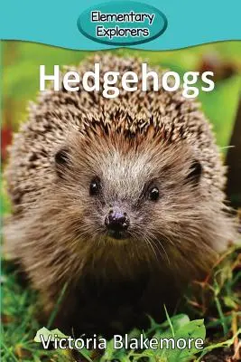 Jeże - Hedgehogs