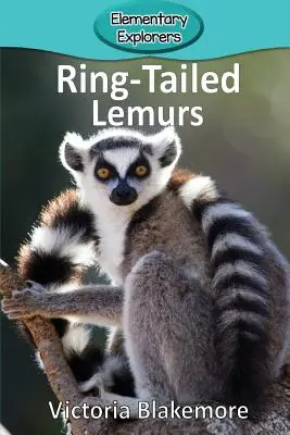 Lemury obrączkowane - Ring-Tailed Lemurs