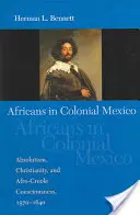 Afrykanie w kolonialnym Meksyku: Absolutyzm, chrześcijaństwo i świadomość afro-kreolska, 1570-1640 - Africans in Colonial Mexico: Absolutism, Christianity, and Afro-Creole Consciousness, 1570-1640