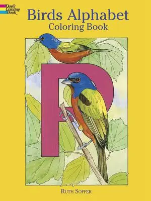 Kolorowanka z alfabetem ptaków - Birds Alphabet Coloring Book