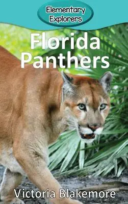 Pantery florydzkie - Florida Panthers