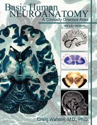 Podstawy neuroanatomii człowieka: Atlas zorientowany klinicznie - Basic Human Neuroanatomy: A Clinically Oriented Atlas