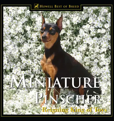 Pinczer miniaturowy: Król zabawek - Miniature Pinscher: Reigning King of Toys