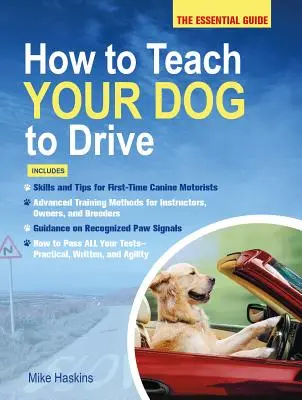 Jak nauczyć psa jeździć samochodem: Niezbędny przewodnik - How to Teach Your Dog to Drive: The Essential Guide