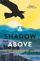 A Shadow Above: Upadek i powstanie kruka - A Shadow Above: The Fall and Rise of the Raven