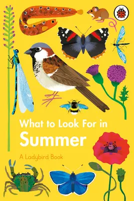 Na co zwrócić uwagę latem - What to Look For in Summer