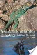 Płazy, gady i ich siedliska w kanionie Sabino - Amphibians, Reptiles, and Their Habitats at Sabino Canyon