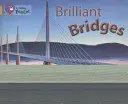 Brilliant Bridges