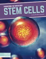 Komórki macierzyste - Stem Cells