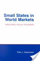 Małe państwa na światowych rynkach: Przemoc polityczna na Bali - Small States in World Markets: Political Violence in Bali