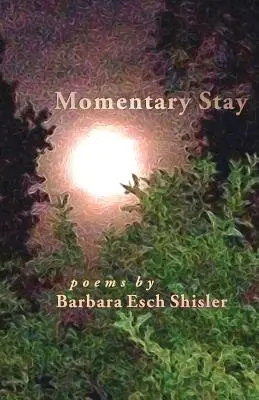 Chwilowy pobyt: Wiersze - Momentary Stay: Poems