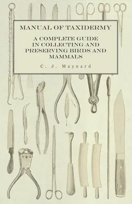 Podręcznik taksydermii - kompletny przewodnik po zbieraniu i konserwowaniu ptaków i ssaków - Manual of Taxidermy - A Complete Guide in Collecting and Preserving Birds and Mammals