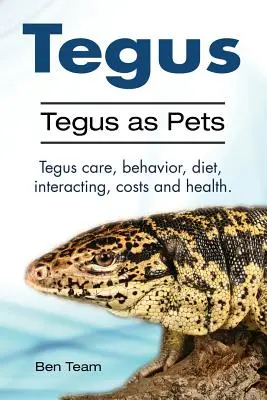 Tegus. Tegusy jako zwierzęta domowe. Tegusy - opieka, zachowanie, dieta, interakcje, koszty i zdrowie. - Tegus. Tegus as Pets. Tegus care, behavior, diet, interacting, costs and health.