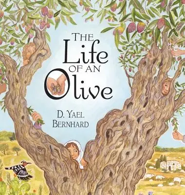 Życie oliwki - The Life of an Olive