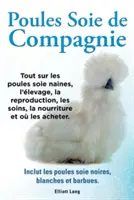 Poules soie de compagnie. Wszystko na temat Poules soie naines, l'levage, la reproduction, les soins, la nourriture et o les acheter. Inclut les Poules s - Poules soie de compagnie. Tout sur les Poules soie naines, l'levage, la reproduction, les soins, la nourriture et o les acheter. Inclut les Poules s