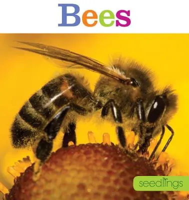 Sadzonki: Pszczoły - Seedlings: Bees