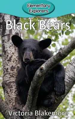 Niedźwiedzie czarne - Black Bears
