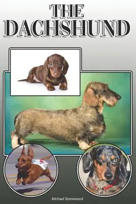 Jamnik: A Complete and Comprehensive Owners Guide to: Kupno, Posiadanie, Zdrowie, Pielęgnacja, Szkolenie, Posłuszeństwo, Zrozumienie i - The Dachshund: A Complete and Comprehensive Owners Guide to: Buying, Owning, Health, Grooming, Training, Obedience, Understanding and