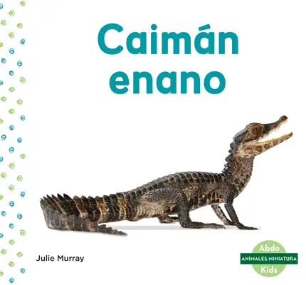 Caimn Enano (kajman karłowaty) - Caimn Enano (Dwarf Caiman)