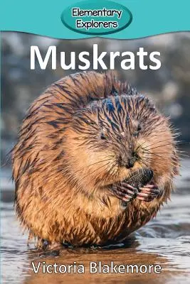 Piżmowoły - Muskrats