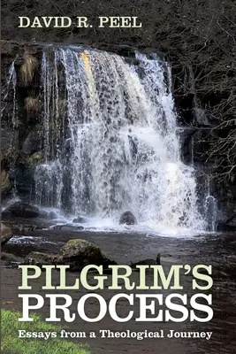 Proces pielgrzyma - Pilgrim's Process