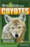 Mity i prawdy o kojotach: Co musisz wiedzieć o najbardziej niezrozumianym drapieżniku Ameryki - Myths & Truths About Coyotes: What You Need to Know About America's Most Misunderstood Predator