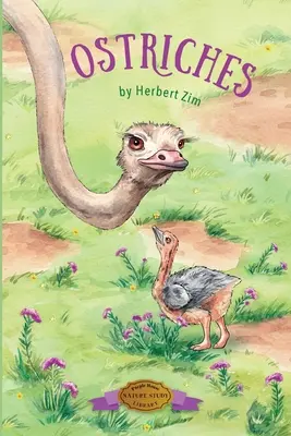 Strusie - Ostriches