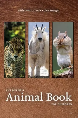 The Burgess Animal Book z nowymi kolorowymi zdjęciami - The Burgess Animal Book with new color images