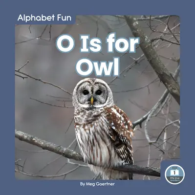 O jak Sowa - O Is for Owl