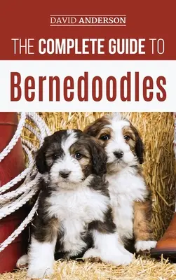 Kompletny przewodnik po berneńczykach: Wszystko, co musisz wiedzieć, aby z powodzeniem wychować szczeniaka Bernedoodle! - The Complete Guide to Bernedoodles: Everything you need to know to successfully raise your Bernedoodle puppy!