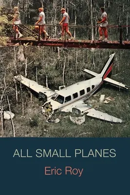 Wszystkie małe samoloty - All Small Planes