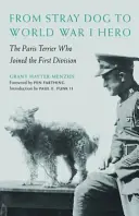 Od bezpańskiego psa do bohatera I wojny światowej: paryski terier, który dołączył do pierwszej dywizji - From Stray Dog to World War I Hero: The Paris Terrier Who Joined the First Division