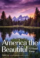 Teardrop Traveler: Wizualna podróż po Ameryce z Mandy Lea i jej przyczepą na kółkach - Teardrop Traveler: A Visual Tour of America with Mandy Lea & Her Teardrop Trailer