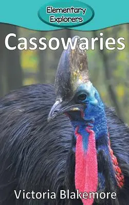 Kaszaloty - Cassowaries