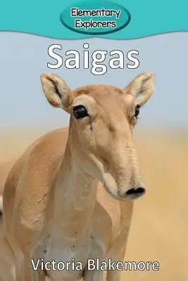 Sajgonki - Saigas