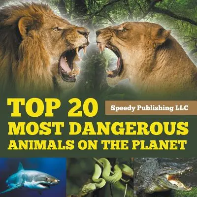 Top 20 najbardziej niebezpiecznych zwierząt na planecie - Top 20 Most Dangerous Animals On The Planet