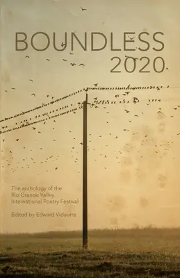 Boundless 2020: oficjalna antologia Międzynarodowego Festiwalu Poezji w Dolinie Rio Grande - Boundless 2020: the official anthology of the Rio Grande Valley International Poetry Festival