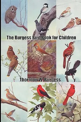 Książka Burgessa o ptakach dla dzieci - The Burgess Bird Book for Children