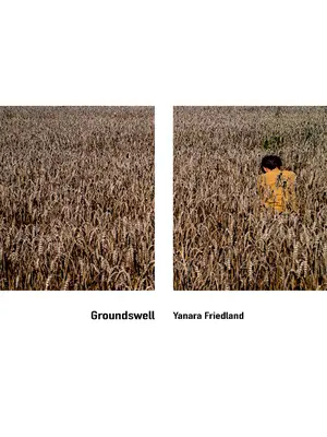 Groundswell