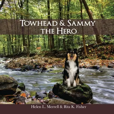 Towhead i Sammy Bohater - Towhead and Sammy The Hero