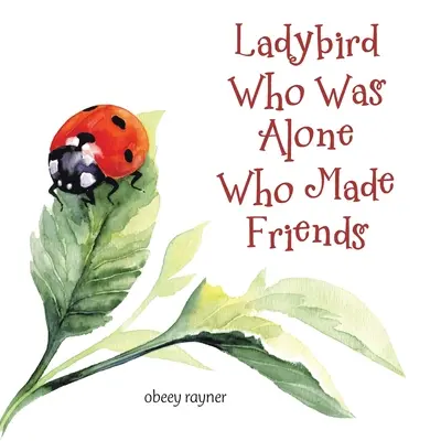 Biedronka, która była sama i poznała przyjaciół - Ladybird Who Was Alone Who Made Friends