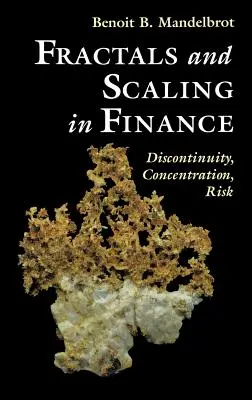 Fraktale i skalowanie w finansach: Nieciągłość, Koncentracja, Ryzyko. Selecta Volume E - Fractals and Scaling in Finance: Discontinuity, Concentration, Risk. Selecta Volume E