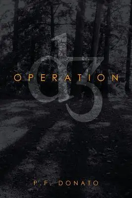 Operacja D3 - Operation D3