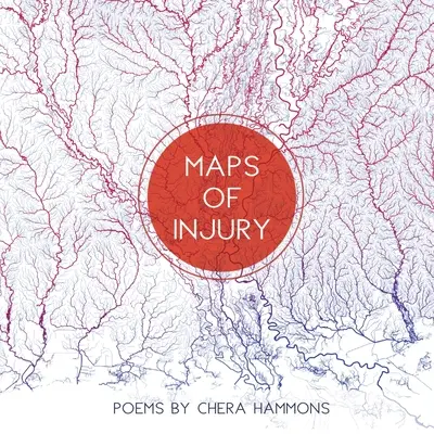 Mapy obrażeń - Maps of Injury