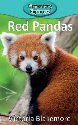 Pandy czerwone - Red Pandas