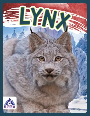 Ryś - Lynx