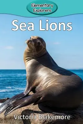 Lwy morskie - Sea Lions